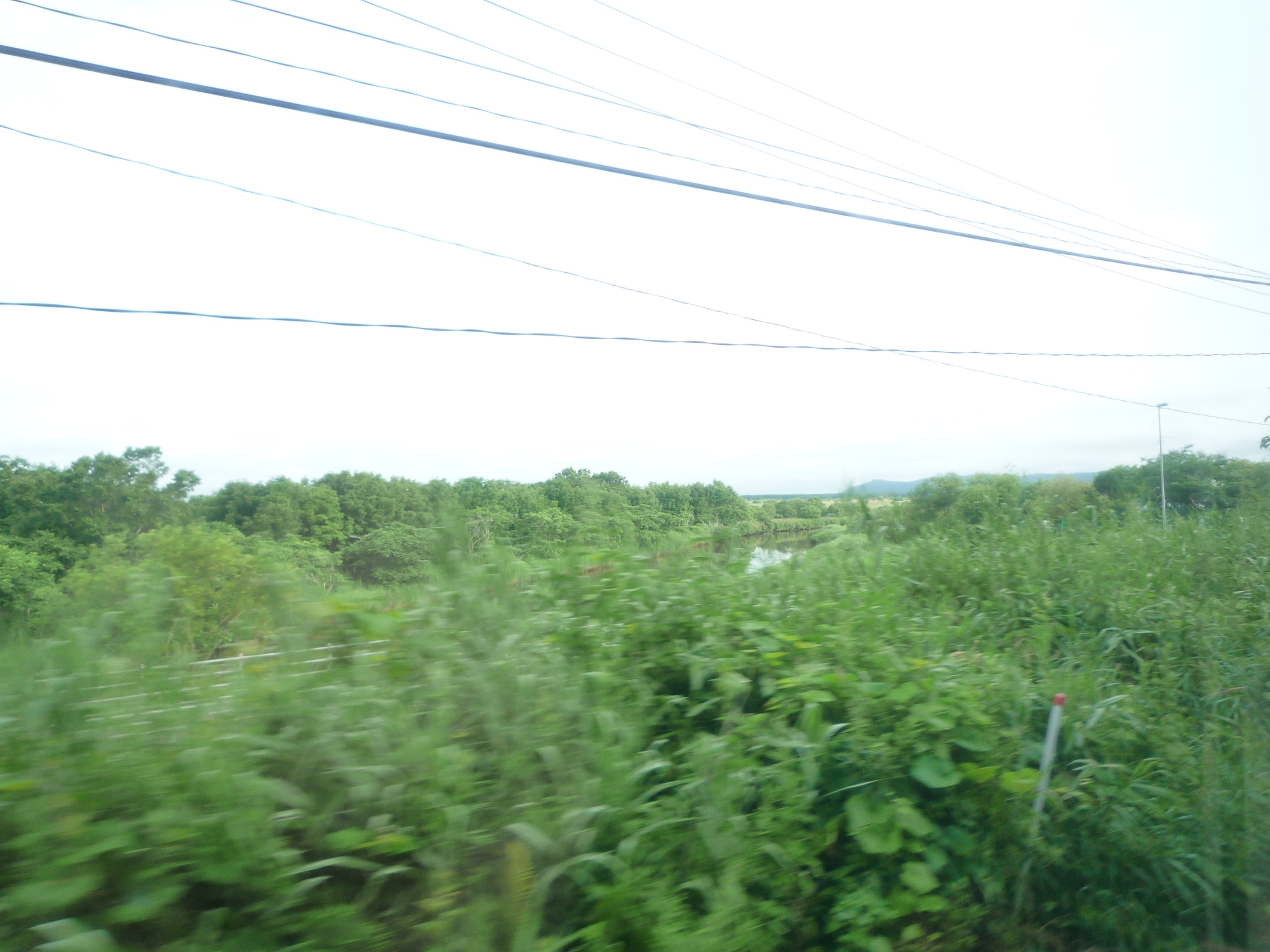 20100727065659--P1270664-fx37