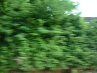 20100804165929--P1290372-fx37.JPG