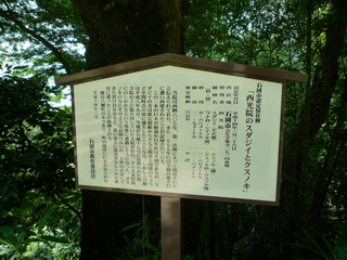 20100807112342--P1290560-fx37.JPG