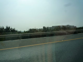 20100818095223--P1300223-fx37.JPG