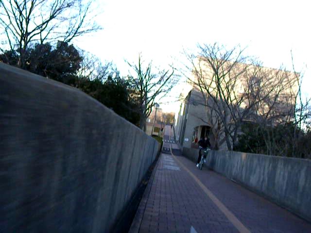 DSCN1045-p6000#001245