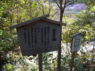 DSCN1305-p6000.JPG