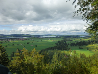 P1020852-xs3.JPG