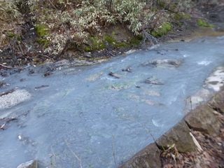 P1090757-xs3.JPG